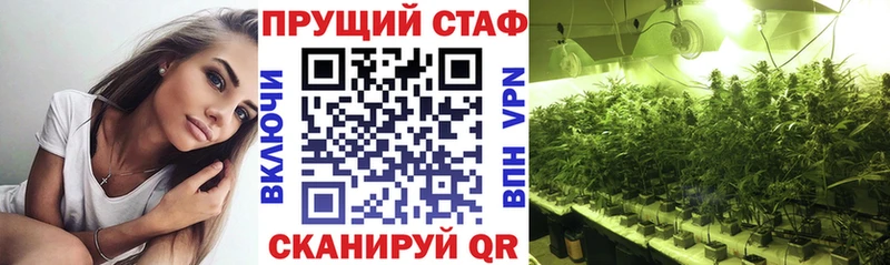 Наркошоп Зеленодольск Псилоцибиновые грибы  Меф  Конопля  КОКАИН 