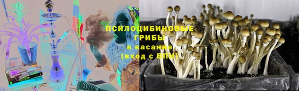 каннабис Горнозаводск
