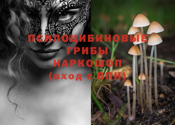 каннабис Горнозаводск