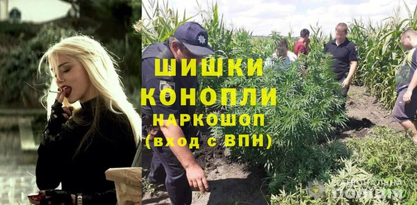 ALPHA PVP Горно-Алтайск