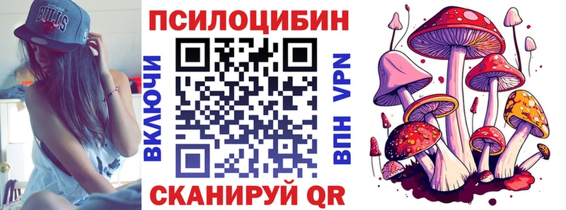 Галлюциногенные грибы Cubensis  купить наркоту  площадка Telegram  Зеленодольск 